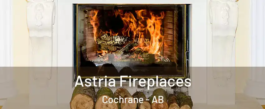  Astria Fireplaces Cochrane - AB