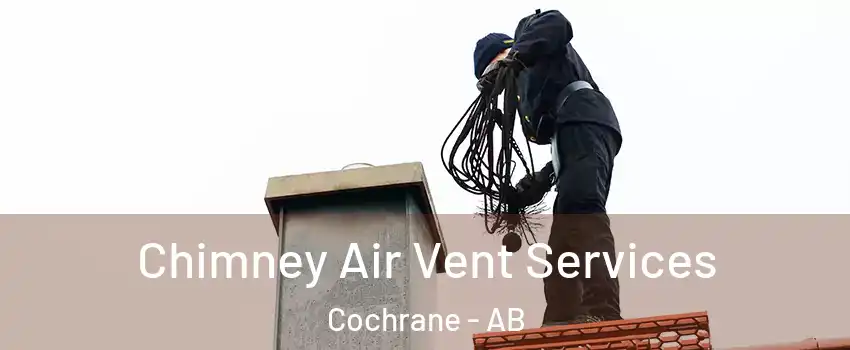  Chimney Air Vent Services Cochrane - AB