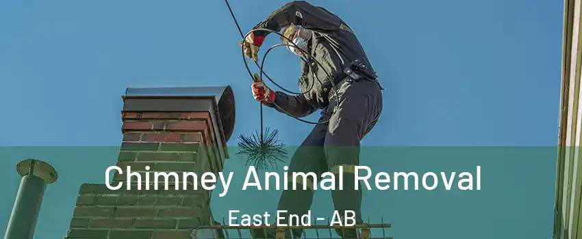  Chimney Animal Removal East End - AB