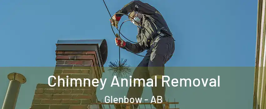  Chimney Animal Removal Glenbow - AB