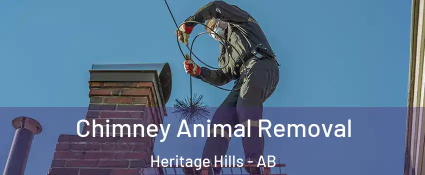  Chimney Animal Removal Heritage Hills - AB