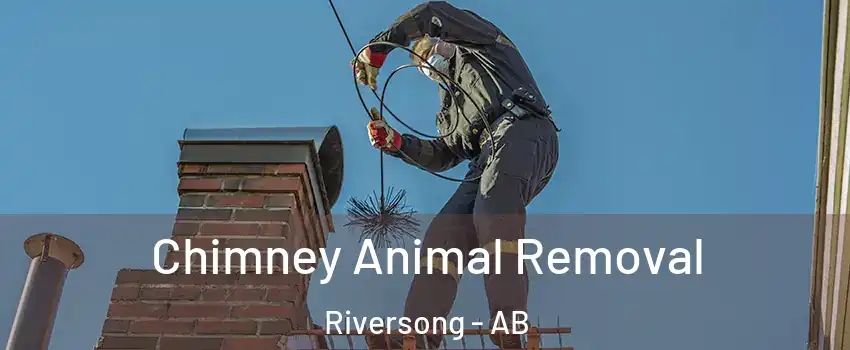  Chimney Animal Removal Riversong - AB