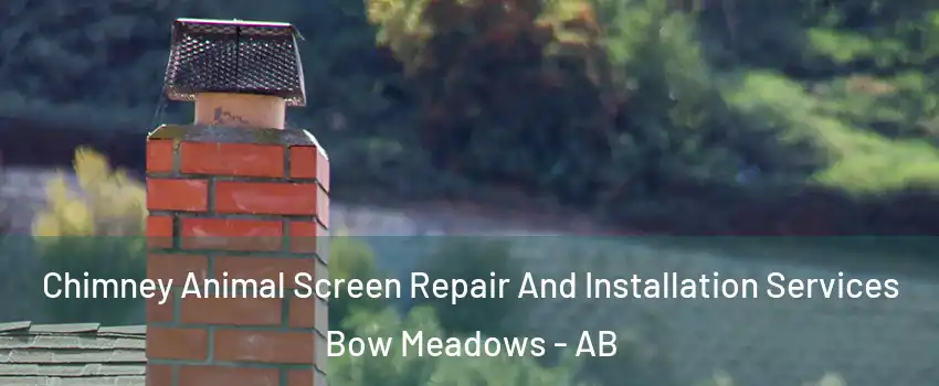  Chimney Animal Screen Repair And Installation Services Bow Meadows - AB