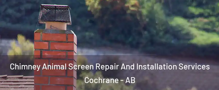  Chimney Animal Screen Repair And Installation Services Cochrane - AB
