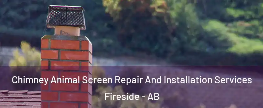  Chimney Animal Screen Repair And Installation Services Fireside - AB