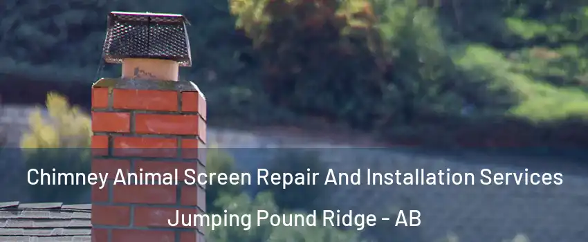  Chimney Animal Screen Repair And Installation Services Jumping Pound Ridge - AB