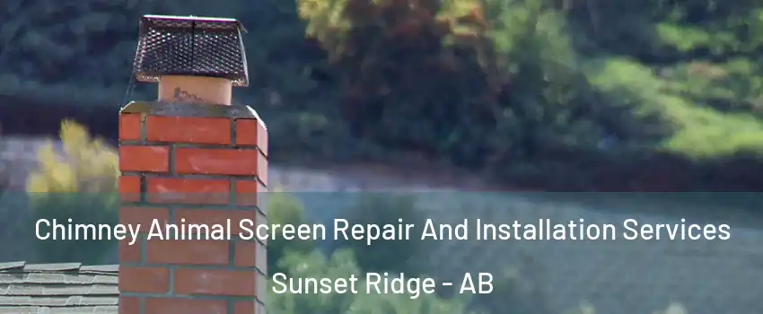  Chimney Animal Screen Repair And Installation Services Sunset Ridge - AB