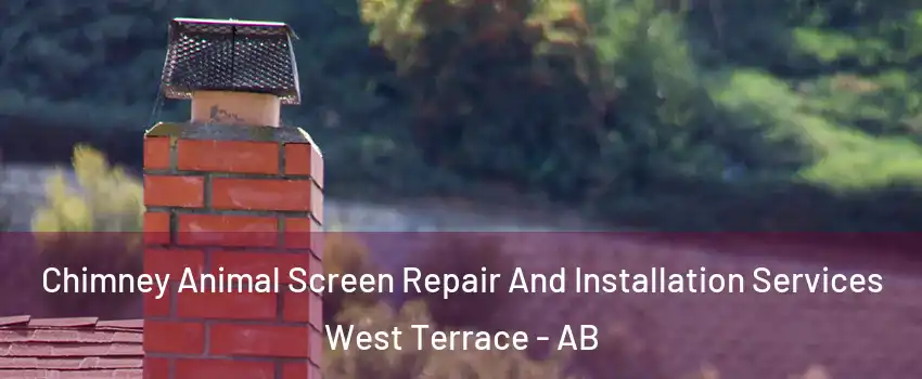  Chimney Animal Screen Repair And Installation Services West Terrace - AB