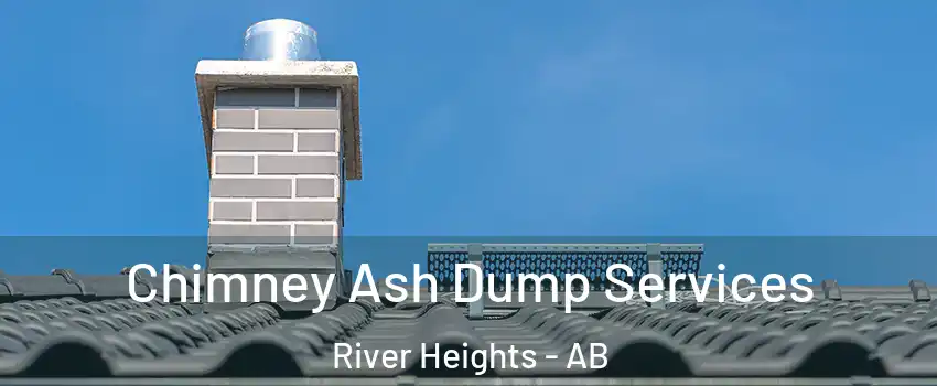  Chimney Ash Dump Services River Heights - AB