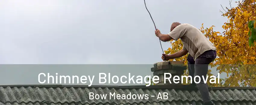  Chimney Blockage Removal Bow Meadows - AB