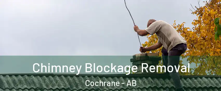  Chimney Blockage Removal Cochrane - AB