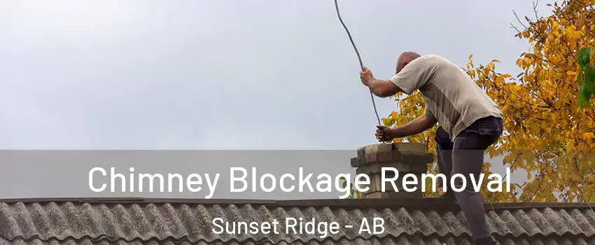 Chimney Blockage Removal Sunset Ridge - AB