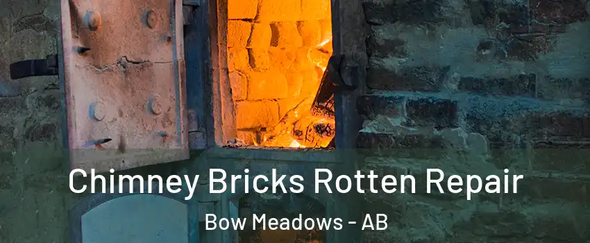  Chimney Bricks Rotten Repair Bow Meadows - AB