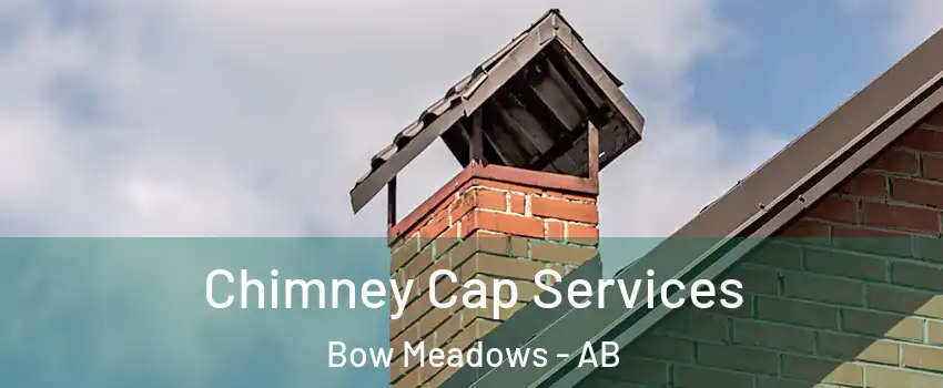  Chimney Cap Services Bow Meadows - AB