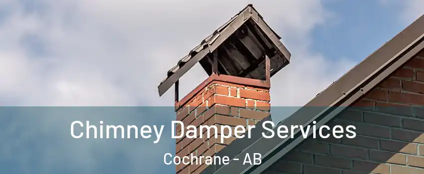  Chimney Damper Services Cochrane - AB