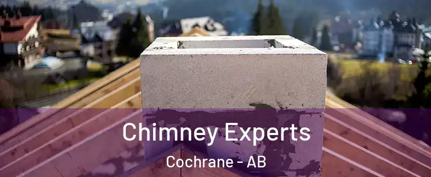  Chimney Experts Cochrane - AB