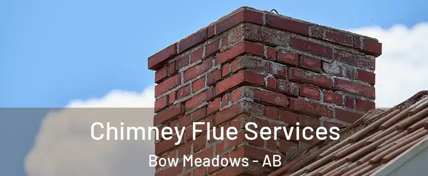  Chimney Flue Services Bow Meadows - AB