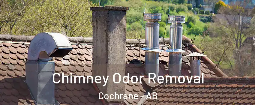  Chimney Odor Removal Cochrane - AB