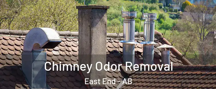  Chimney Odor Removal East End - AB