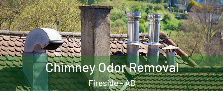  Chimney Odor Removal Fireside - AB
