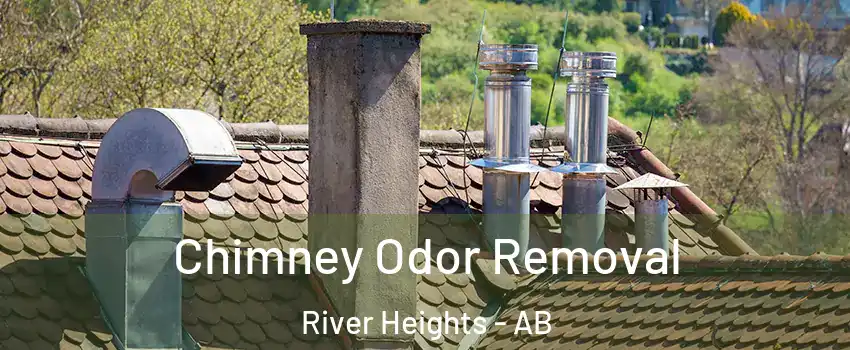  Chimney Odor Removal River Heights - AB