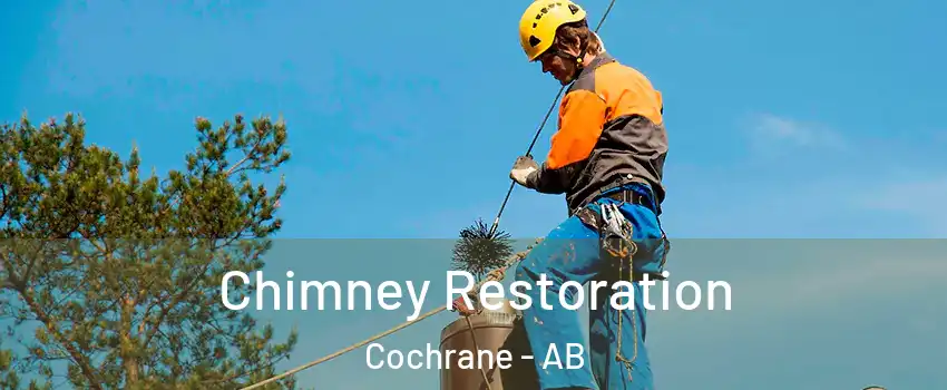  Chimney Restoration Cochrane - AB