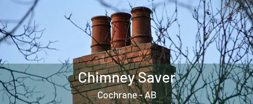  Chimney Saver Cochrane - AB