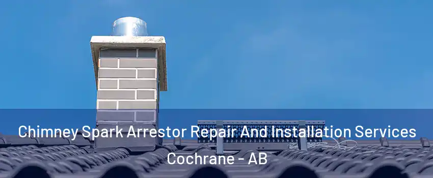  Chimney Spark Arrestor Repair And Installation Services Cochrane - AB