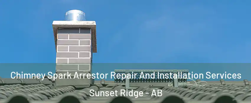  Chimney Spark Arrestor Repair And Installation Services Sunset Ridge - AB