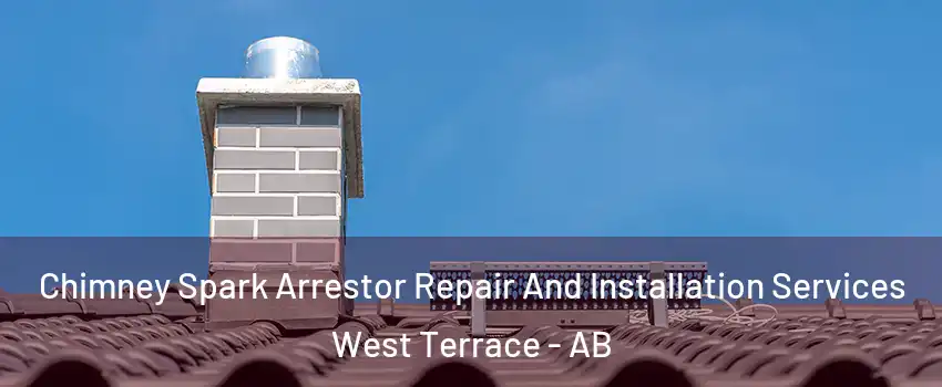  Chimney Spark Arrestor Repair And Installation Services West Terrace - AB