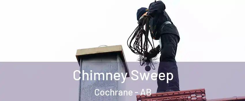  Chimney Sweep Cochrane - AB
