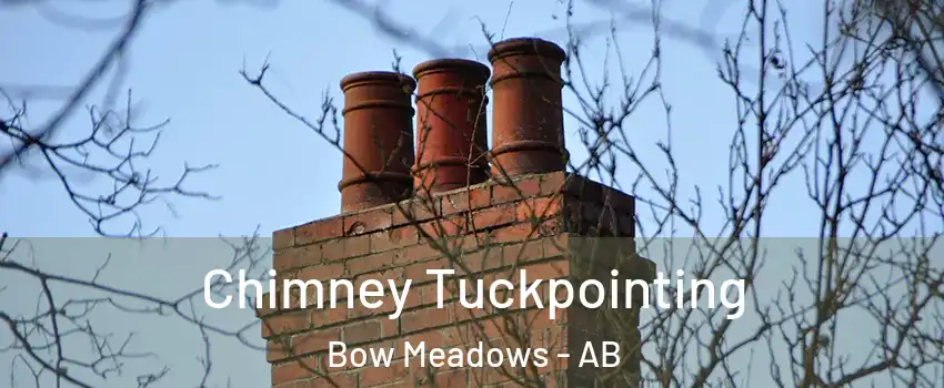  Chimney Tuckpointing Bow Meadows - AB