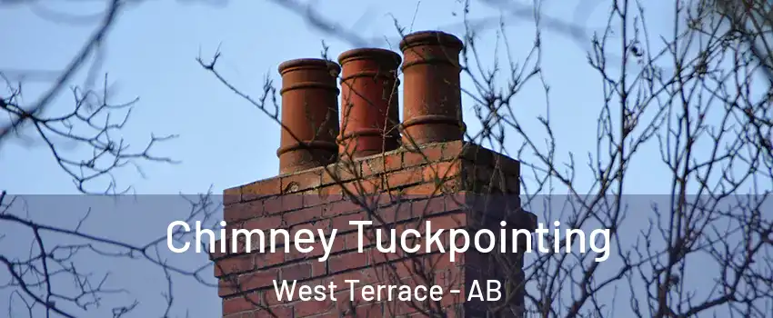  Chimney Tuckpointing West Terrace - AB