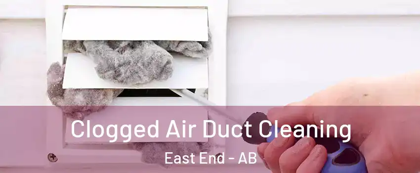  Clogged Air Duct Cleaning East End - AB