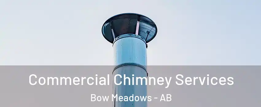  Commercial Chimney Services Bow Meadows - AB