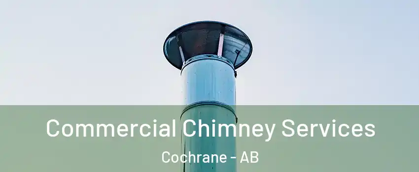  Commercial Chimney Services Cochrane - AB