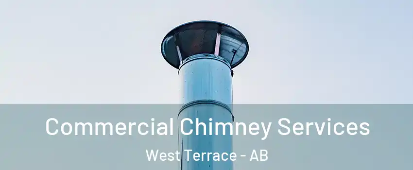  Commercial Chimney Services West Terrace - AB