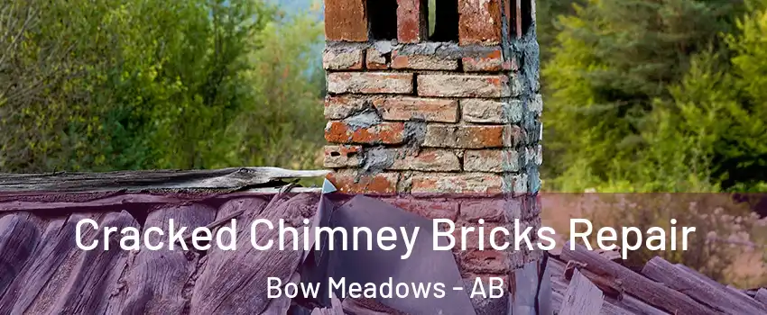  Cracked Chimney Bricks Repair Bow Meadows - AB