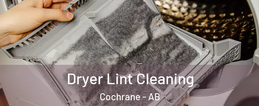  Dryer Lint Cleaning Cochrane - AB