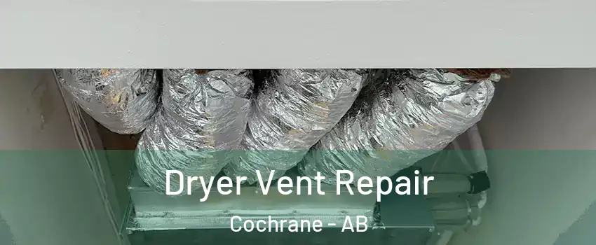  Dryer Vent Repair Cochrane - AB