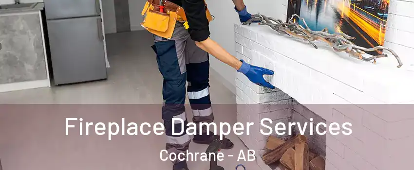  Fireplace Damper Services Cochrane - AB