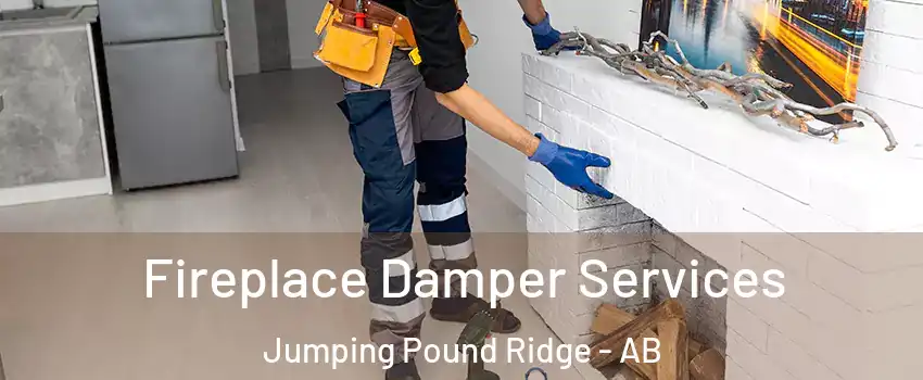  Fireplace Damper Services Jumping Pound Ridge - AB