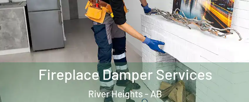  Fireplace Damper Services River Heights - AB