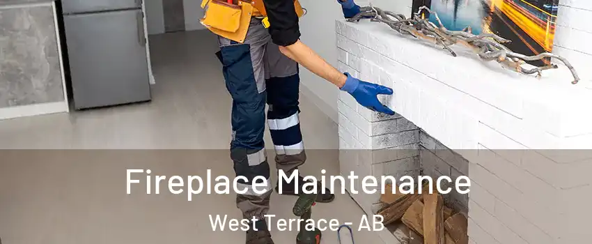  Fireplace Maintenance West Terrace - AB