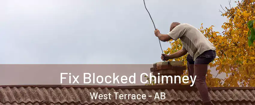 Fix Blocked Chimney West Terrace - AB