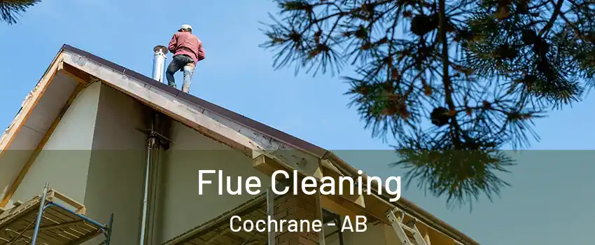  Flue Cleaning Cochrane - AB