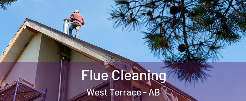  Flue Cleaning West Terrace - AB