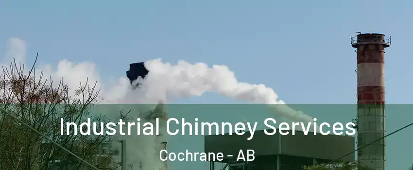  Industrial Chimney Services Cochrane - AB