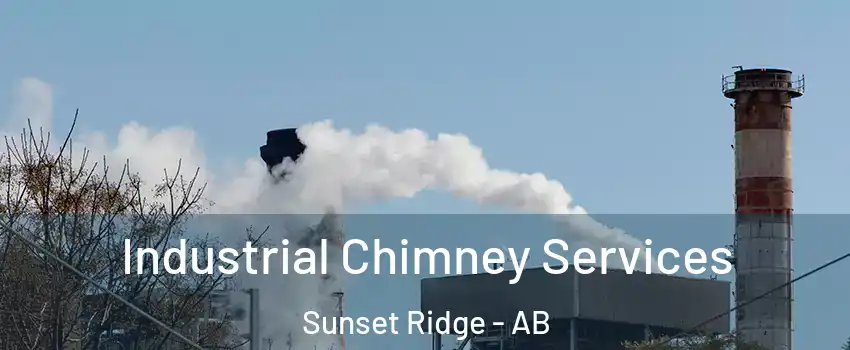  Industrial Chimney Services Sunset Ridge - AB