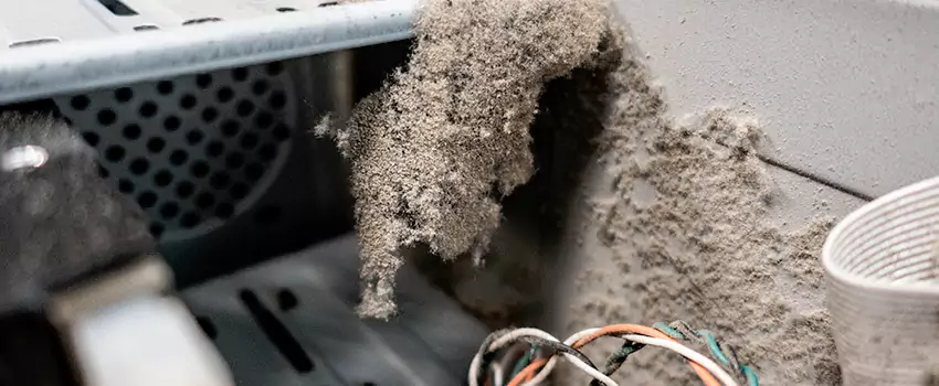 Clogged Dryer Vent Lint Cleaning in Cochrane, Alberta